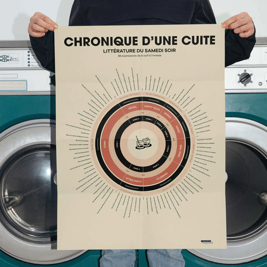 Affiche Chronique d'une cuite