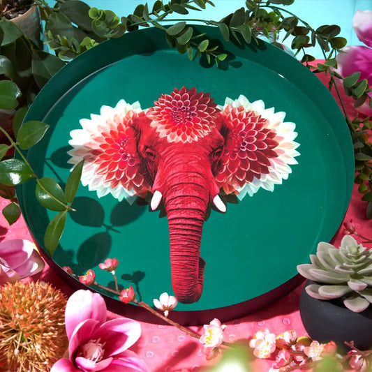 Plateau rond Pachiiii