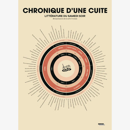 Affiche Chronique d'une cuite