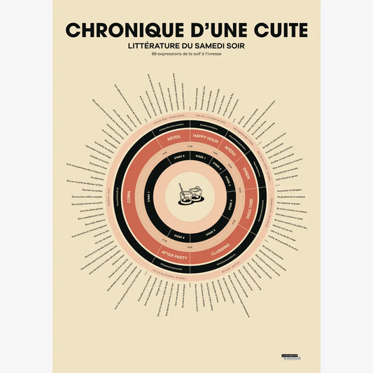 Affiche Chronique d'une cuite