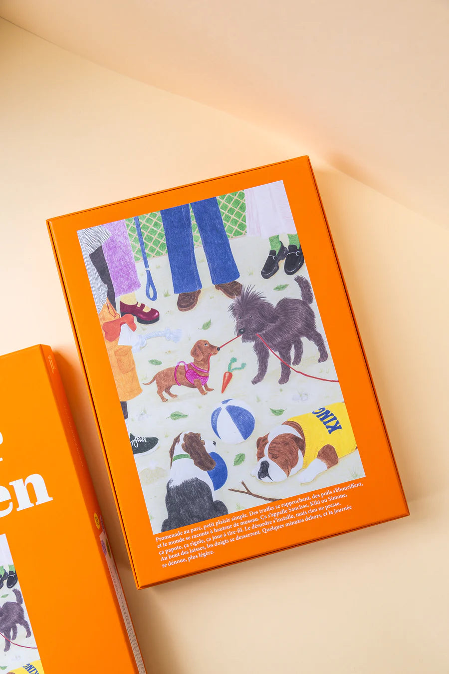 Sortir le chien - Puzzle 1000 pièces